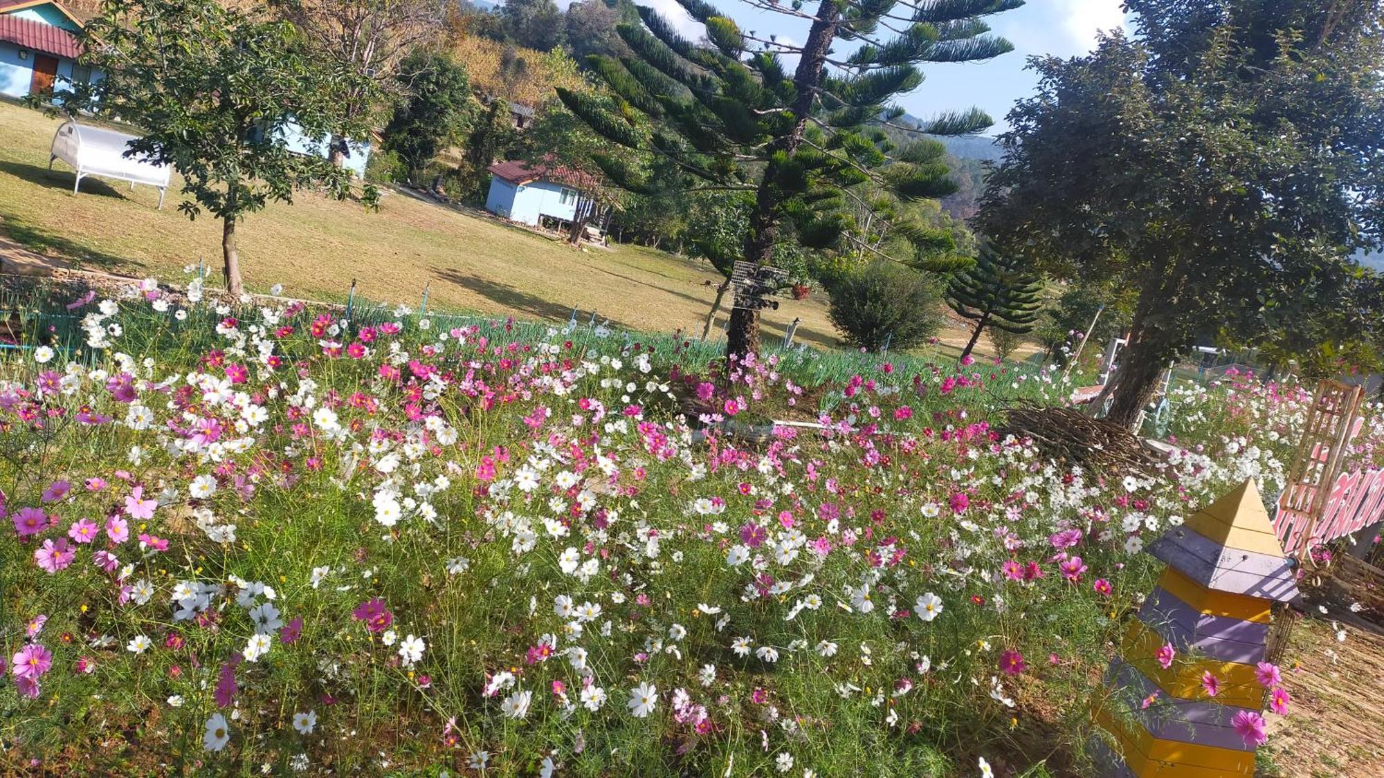 Mong Homestay Resort Pang Ung Luaran gambar